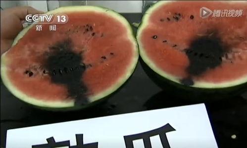 免费吃瓜每日吃瓜视频,揭秘热门视频背后的精彩故事