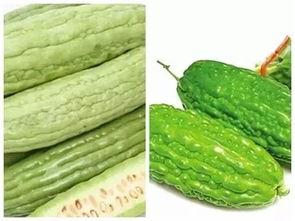 绞瓜苦可以吃么,揭秘其食用之谜