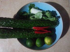 吃韩国酸瓜,酸爽开胃，传统美食的魅力之旅